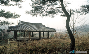 남원 용두정(龍頭亭)